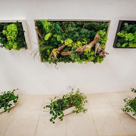 Cerdac Cotesti Golestii de Sus Exterior photo