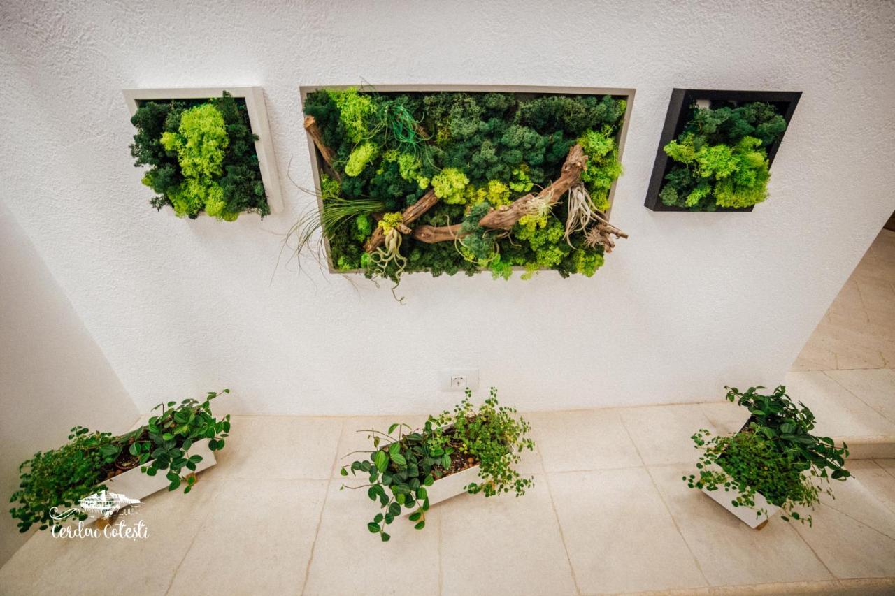 Cerdac Cotesti Golestii de Sus Exterior photo
